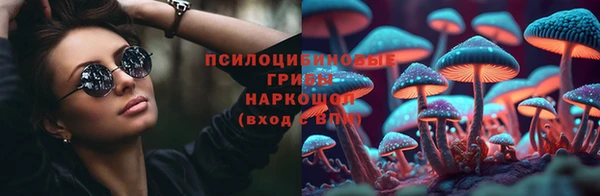 сатива Алексеевка
